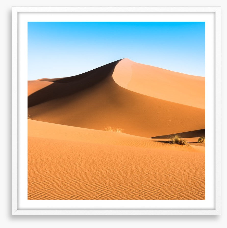 Desert