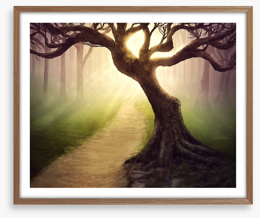 Mystical forest pathway