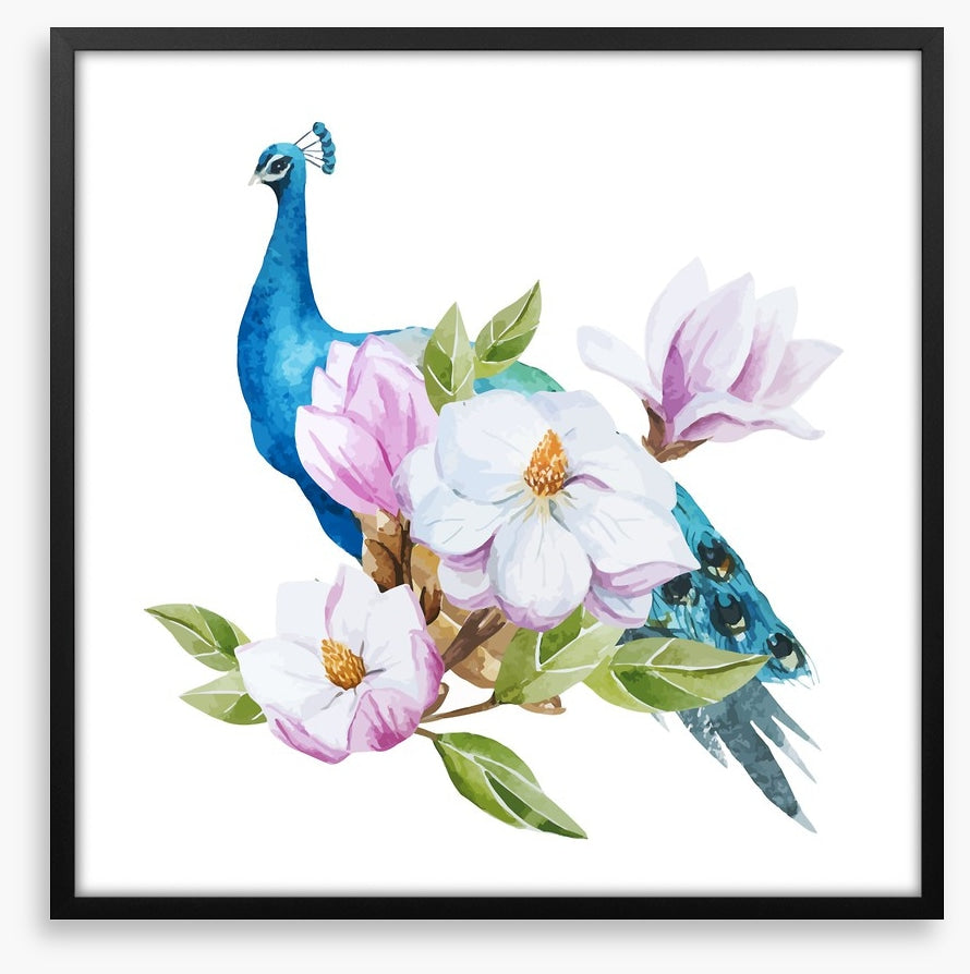 Magnolia peacock