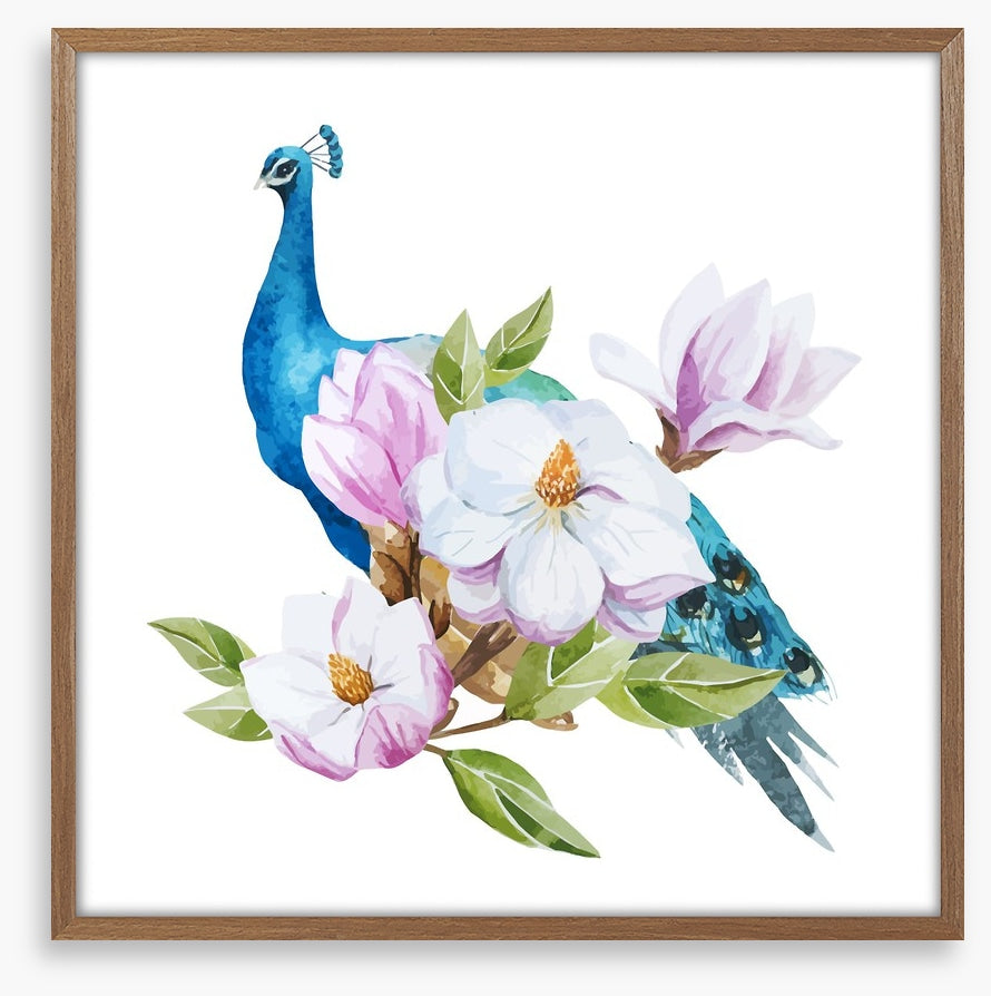 Magnolia peacock