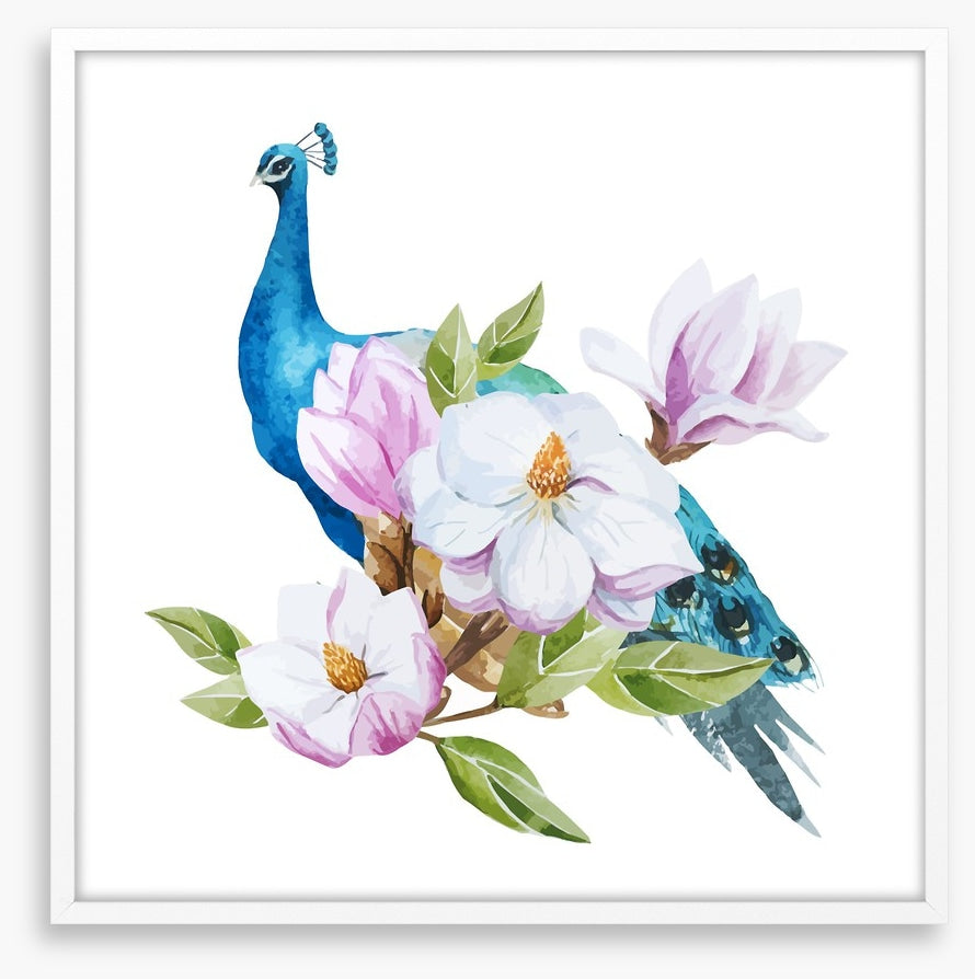 Magnolia peacock