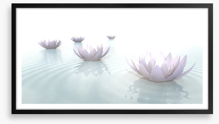 Soft floating lotus