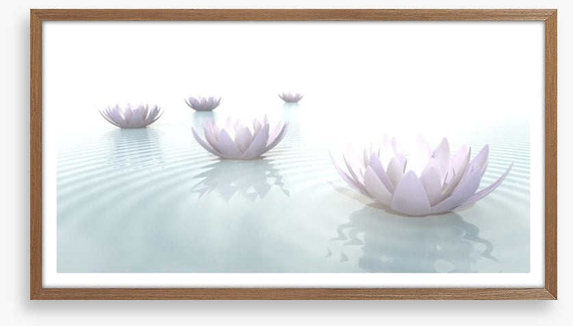 Soft floating lotus