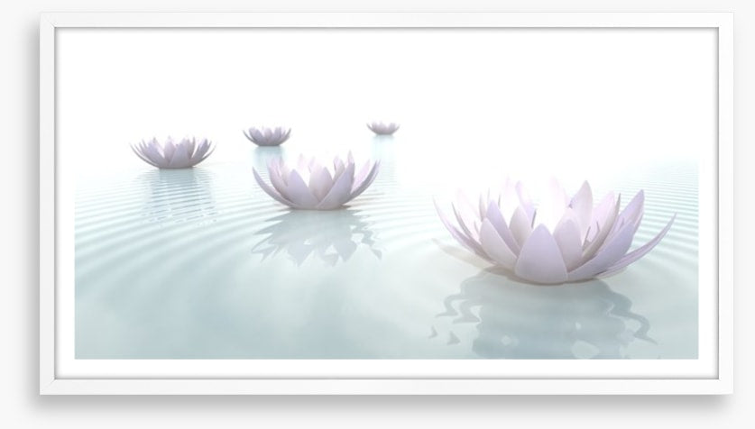 Soft floating lotus