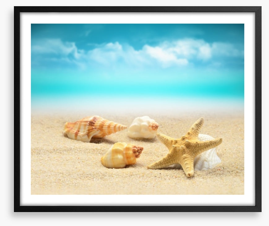 Starfish and seashells