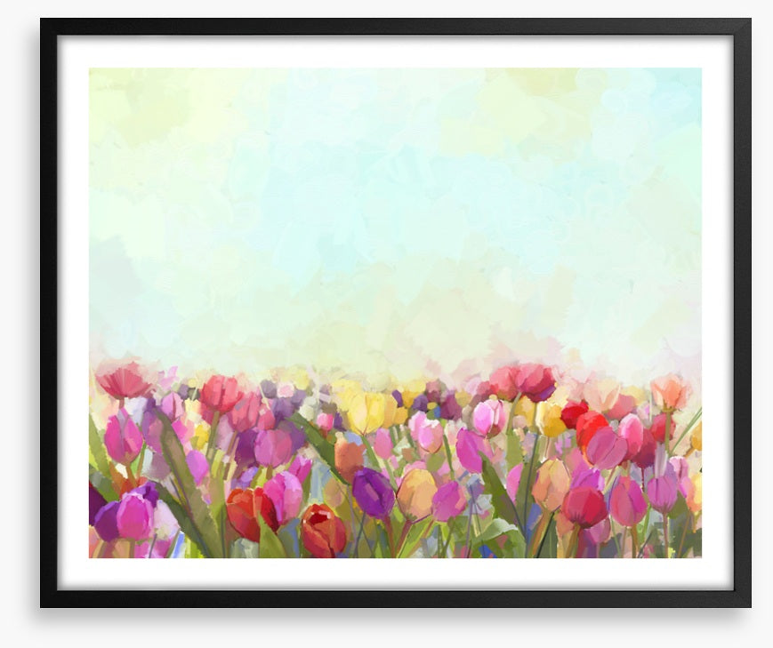 Tulip meadow sunshine