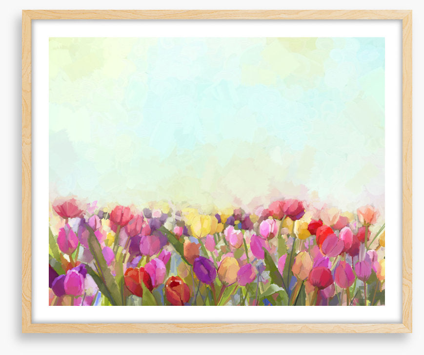 Tulip meadow sunshine