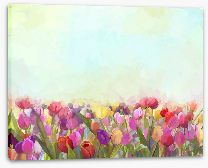 Tulip meadow sunshine