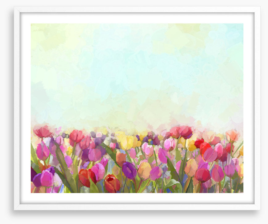 Tulip meadow sunshine