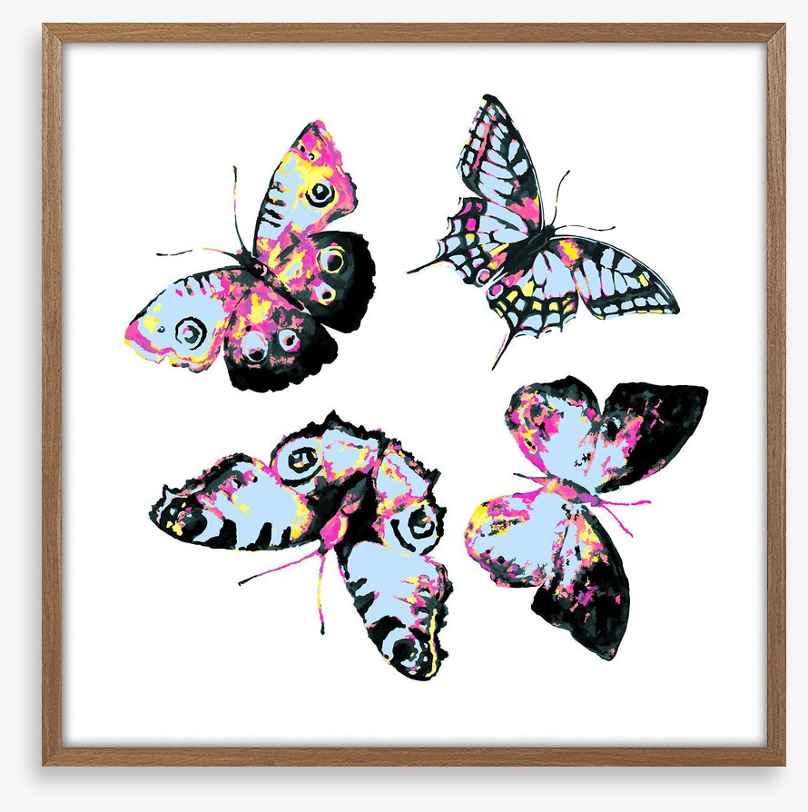 Butterflies