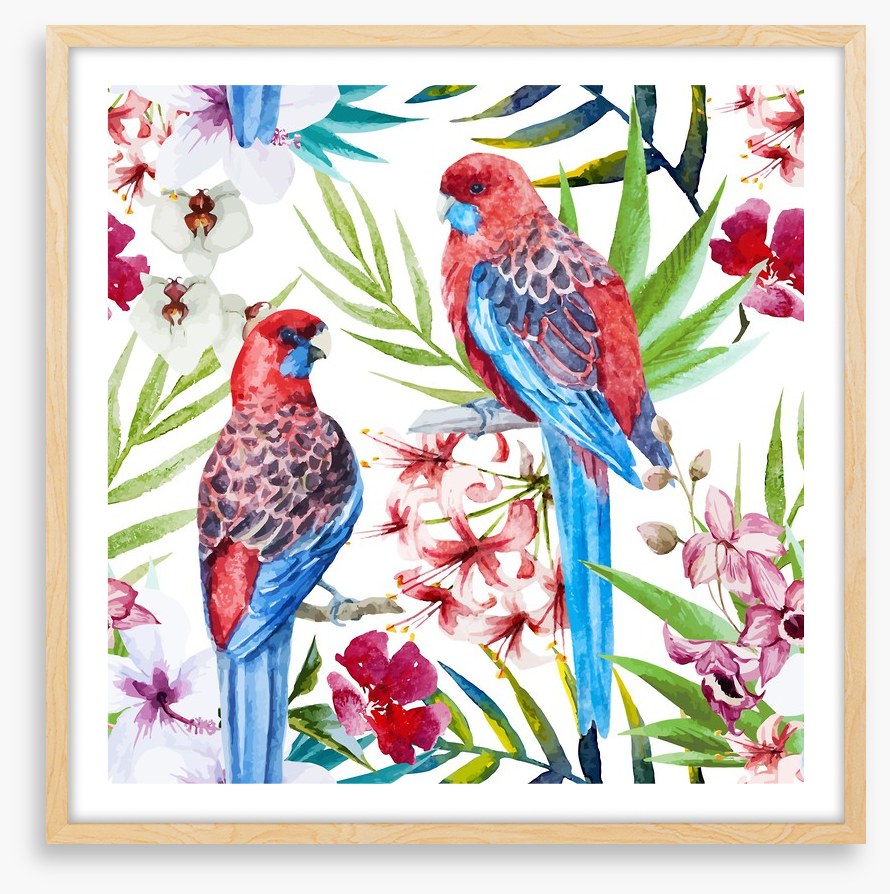 Two crimson rosellas