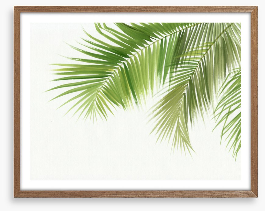 Green palm breeze