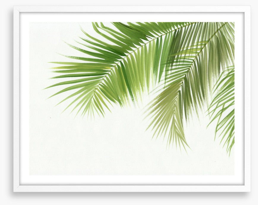 Green palm breeze
