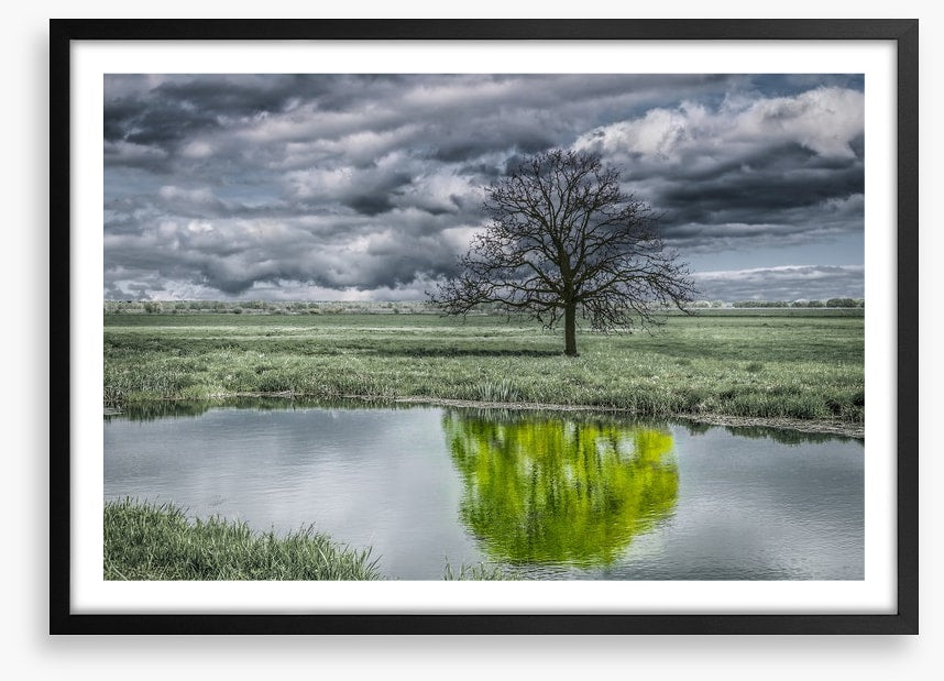 The unusual duck pond