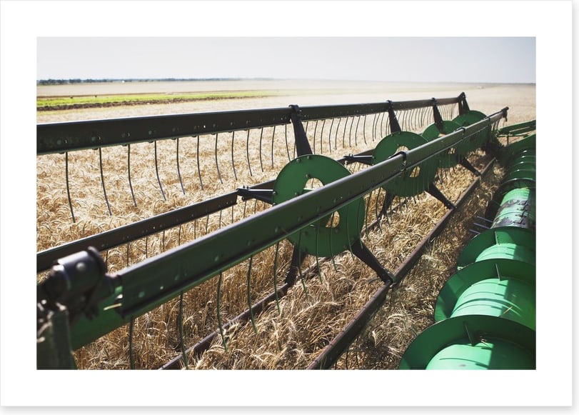 Agriculture