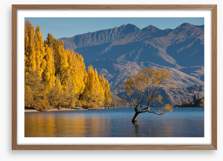 Autumn at Lake Wanaka