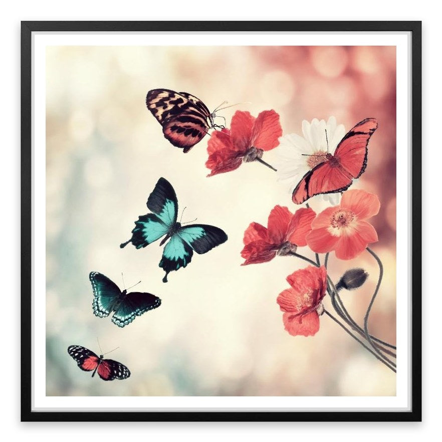 Five butterflies