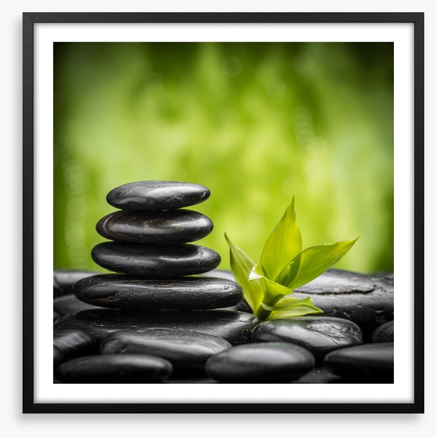 Ayurveda growth