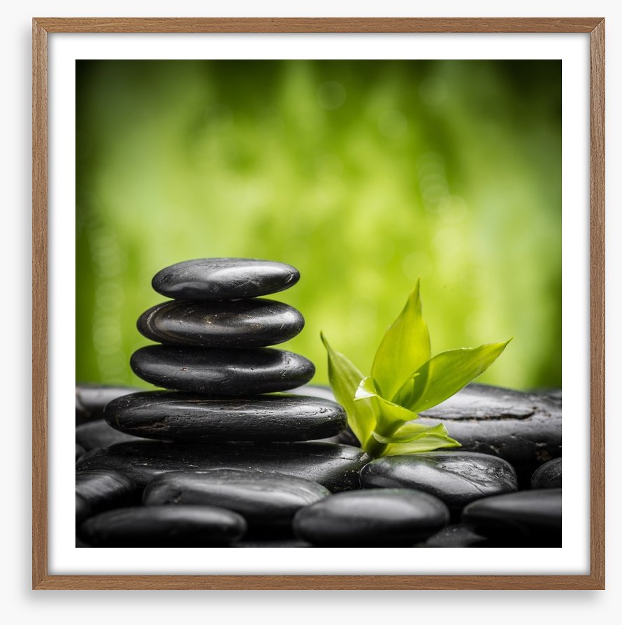Ayurveda growth