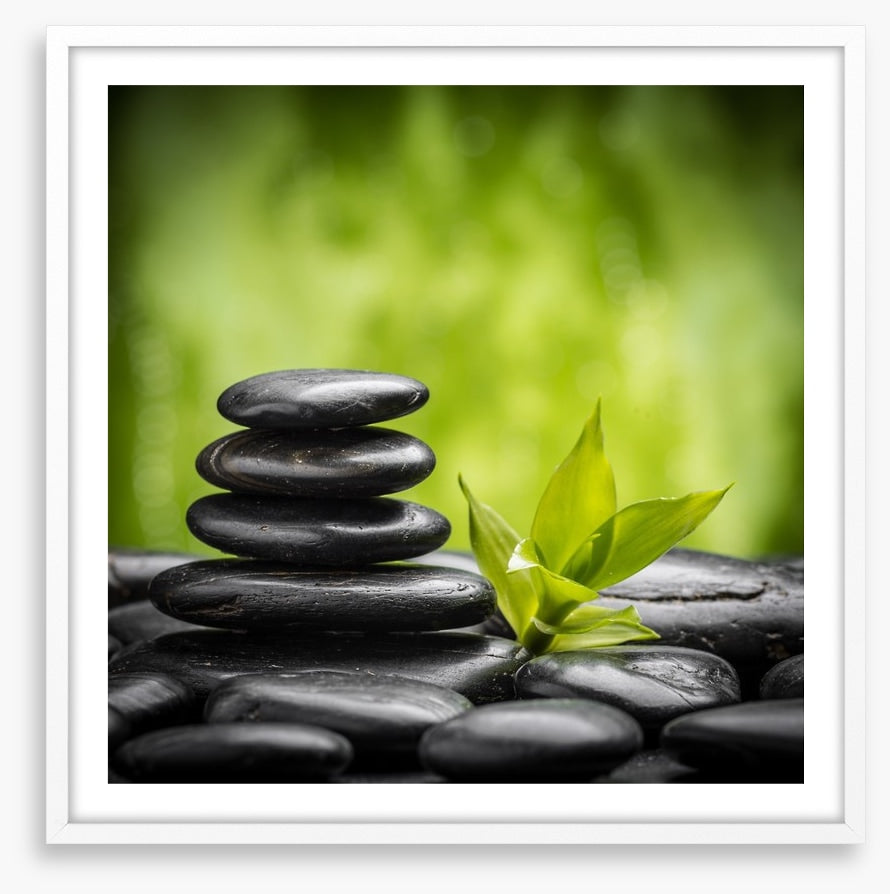 Ayurveda growth