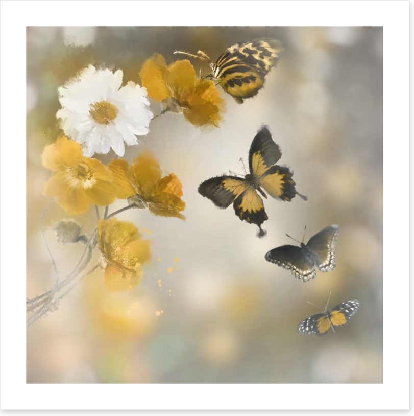 Butterflies