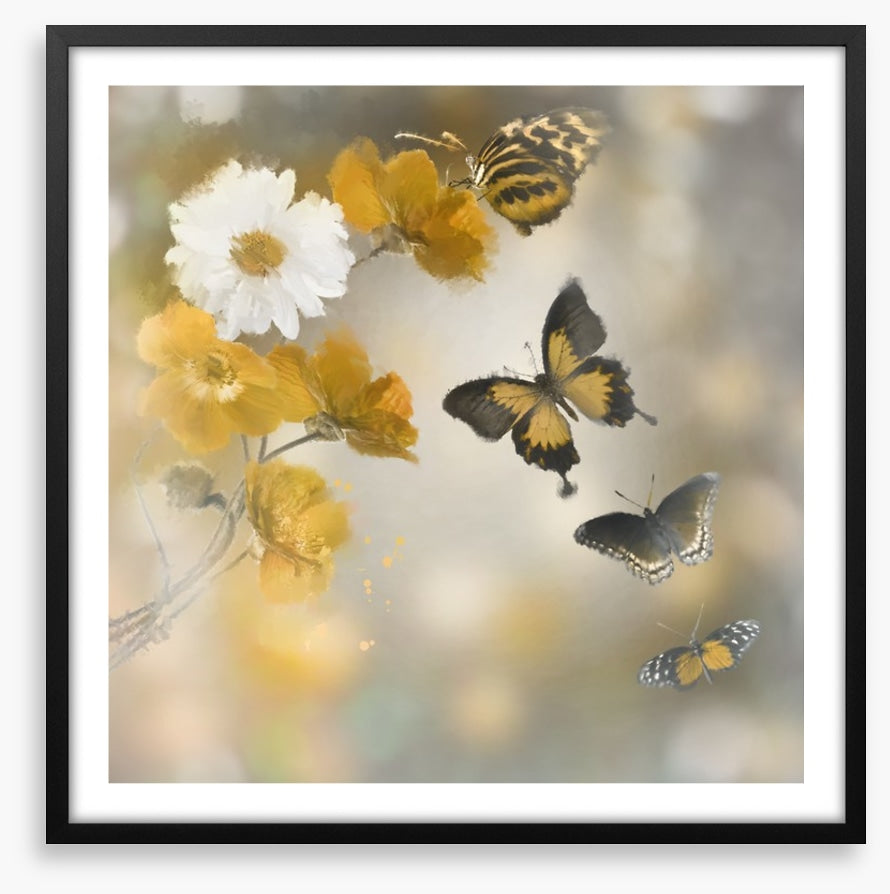 Butterflies