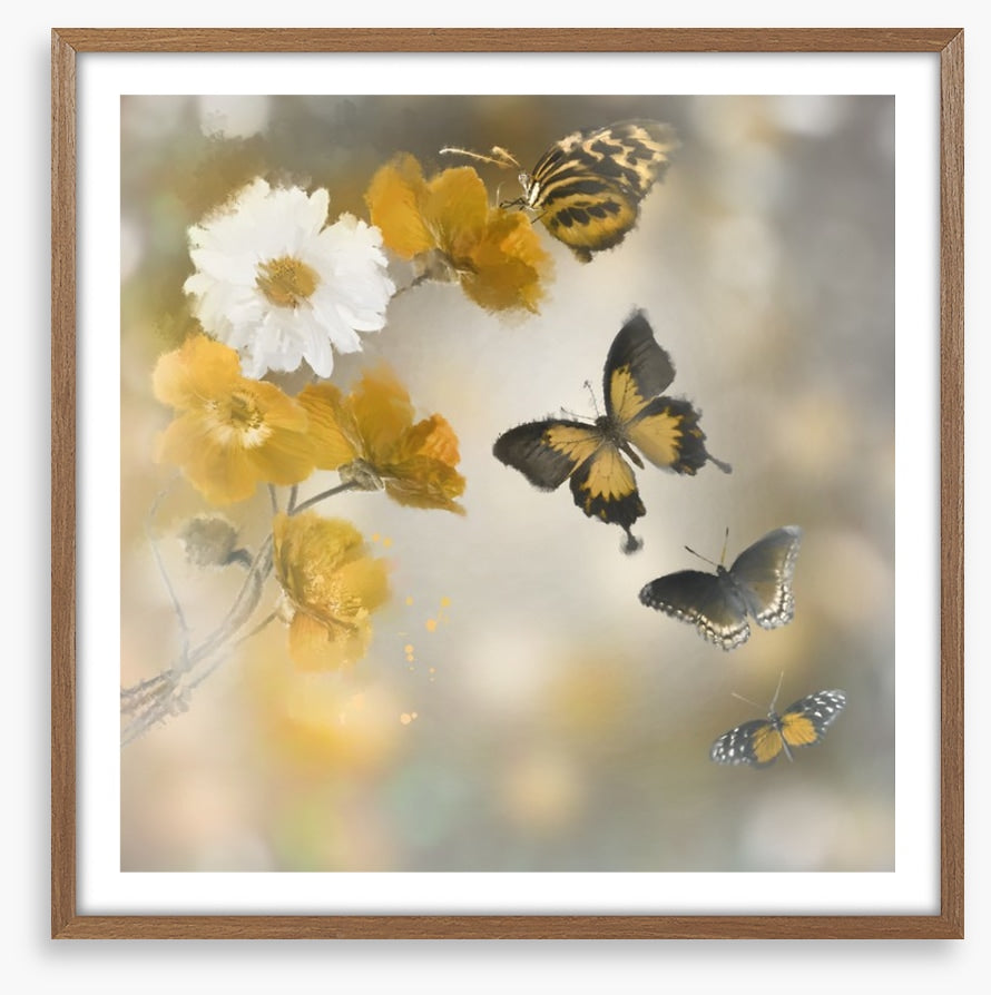 Butterflies