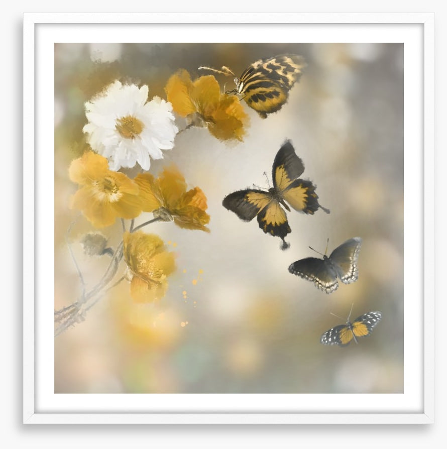 Butterflies