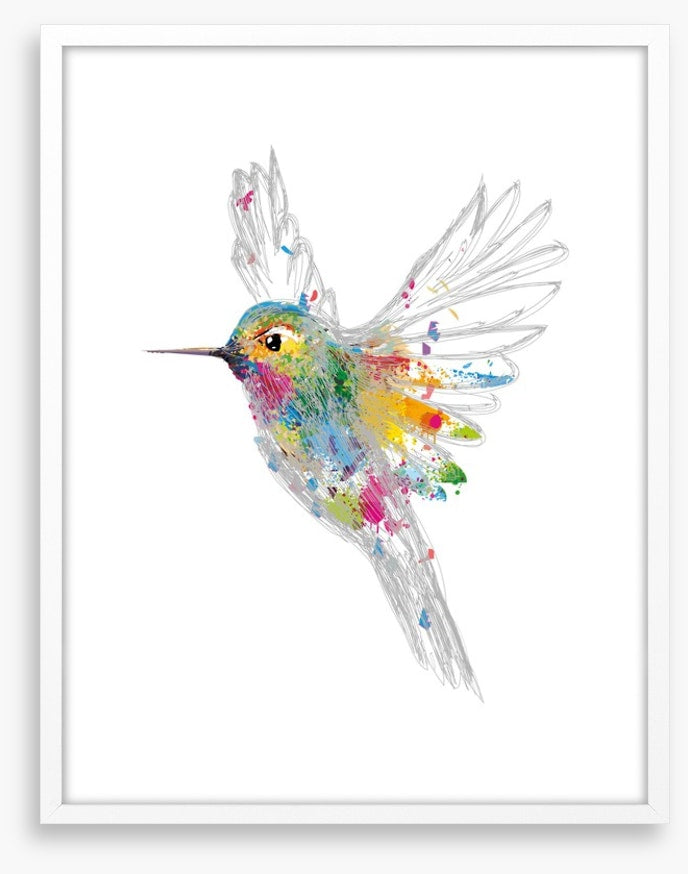 Rainbow honey-eater