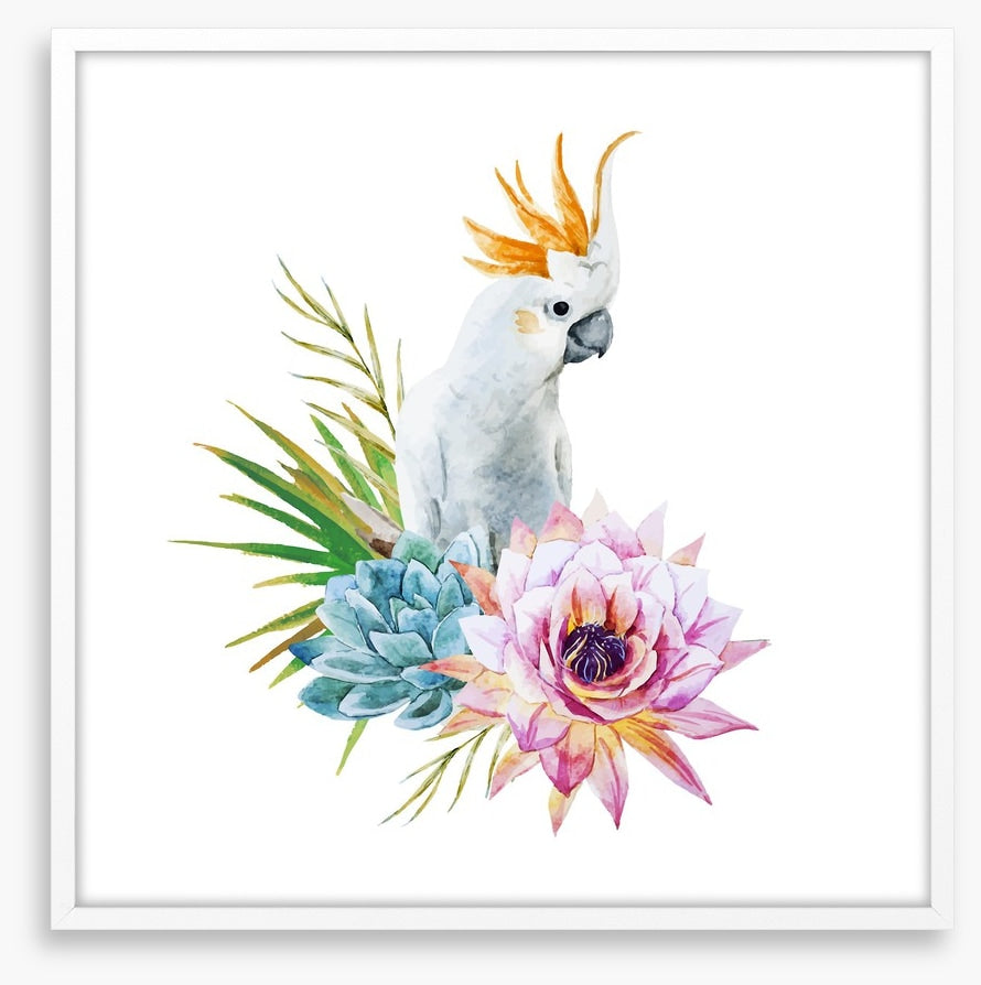 Cockatoo grove