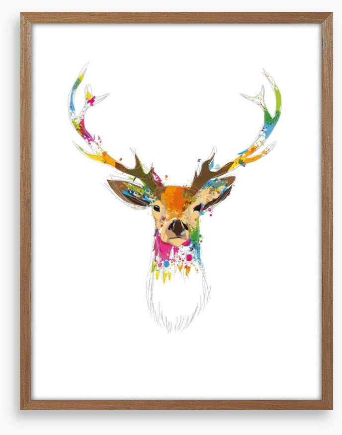 Deer oh deer