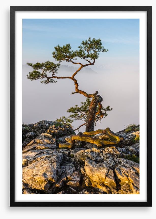 Alone at the top