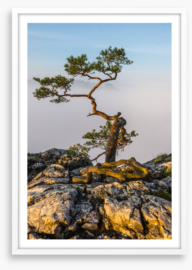 Alone at the top