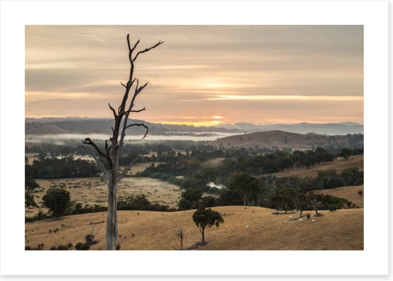 Dawn in the Goulburn River valley