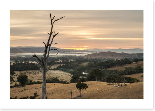 Dawn in the Goulburn River valley
