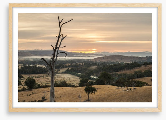 Dawn in the Goulburn River valley