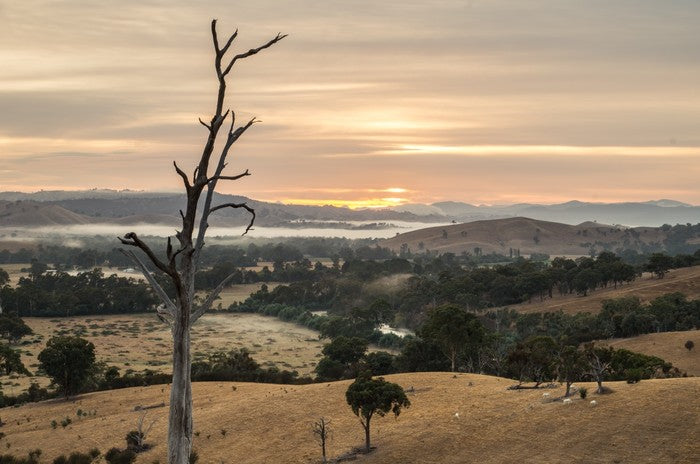 Dawn in the Goulburn River valley