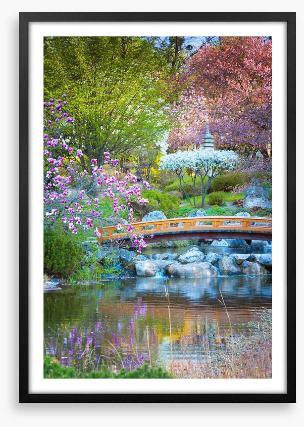 Garden of zen