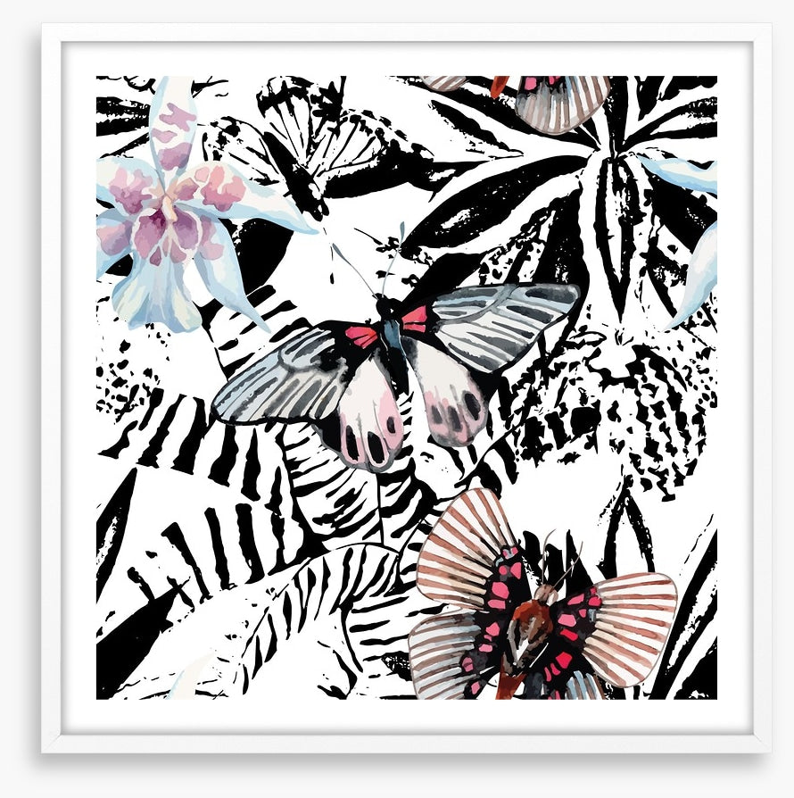 Butterflies