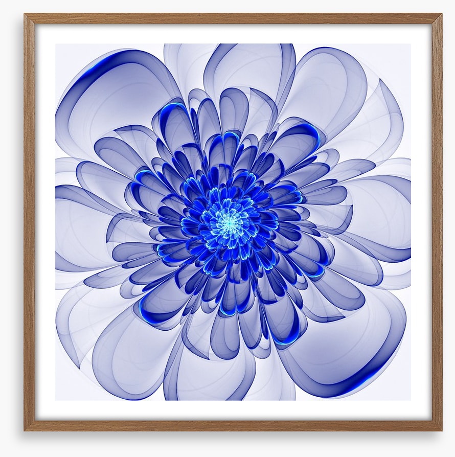 Indigo bloom