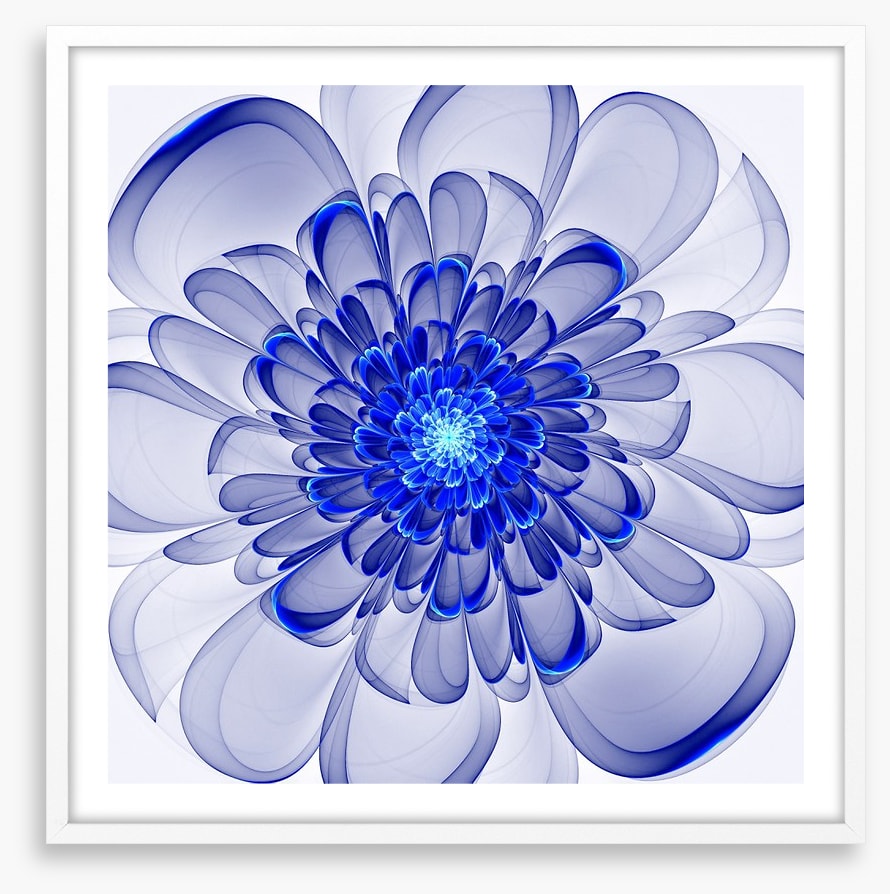 Indigo bloom