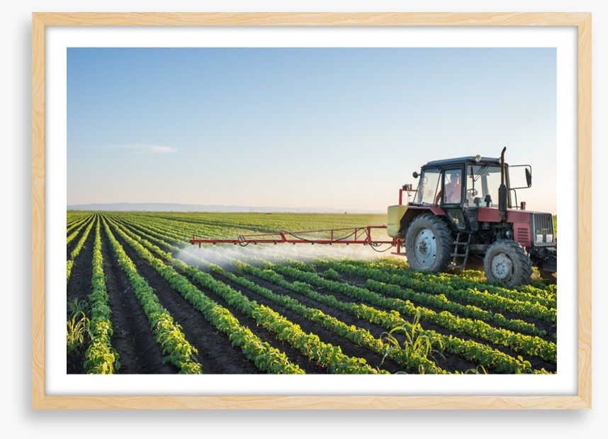 Agriculture