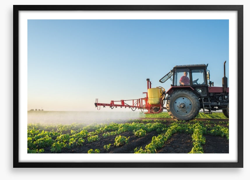 Agriculture