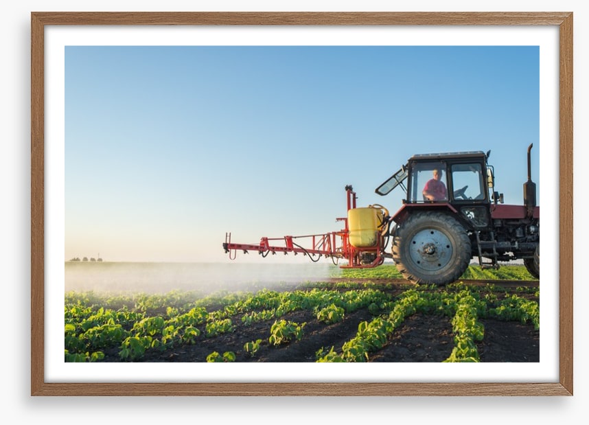Agriculture