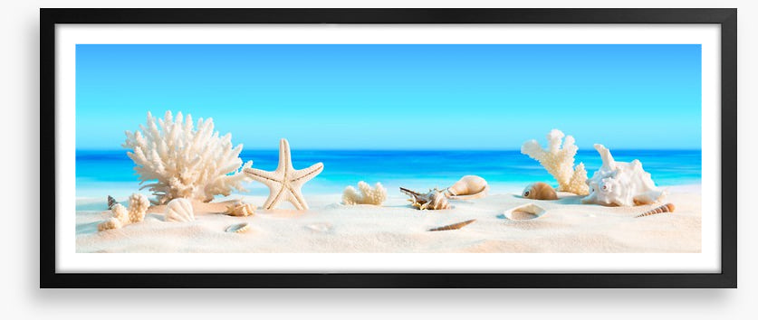 Shells on the beach panorama