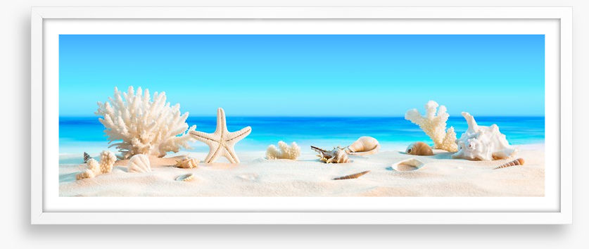 Shells on the beach panorama
