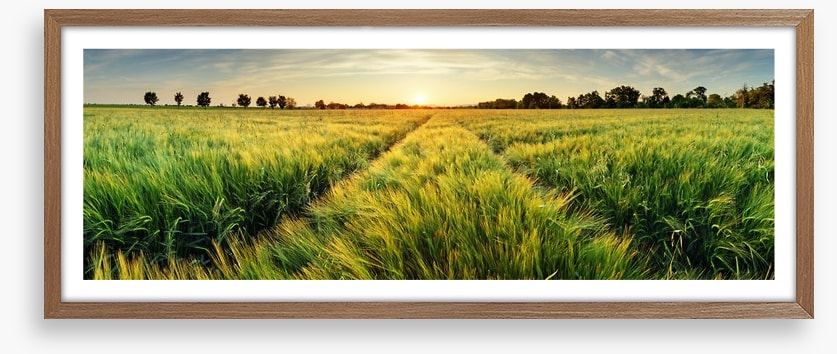 Agriculture