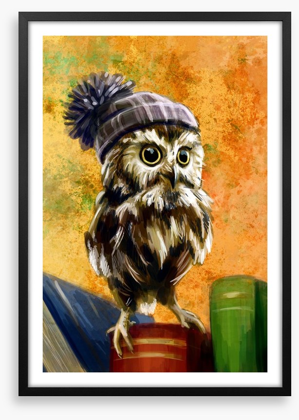 Bookish owl