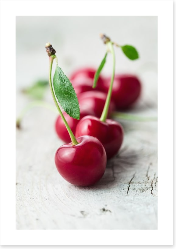 Sour cherry