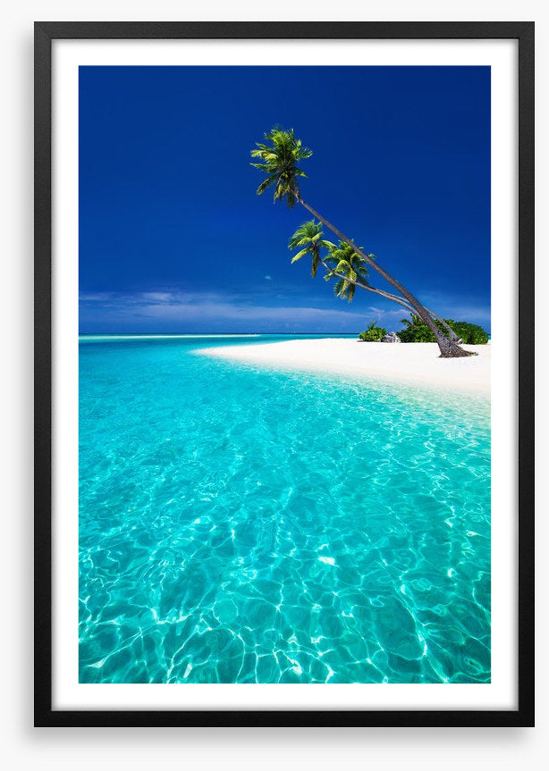 The blue lagoon
